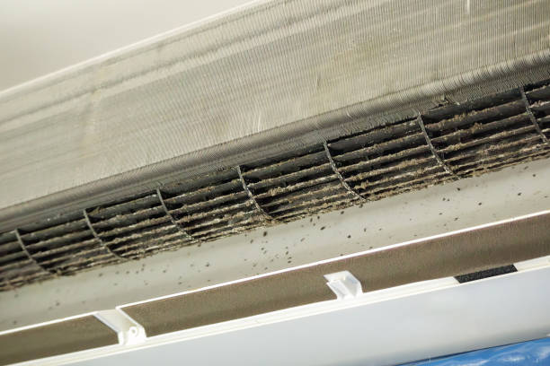 Best Air Duct Cleaning Near Me  in Kalamazoo, MI